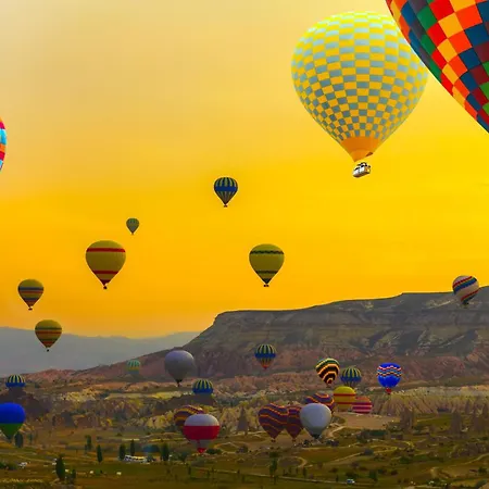 Ξενοδοχείο The Owl Cave